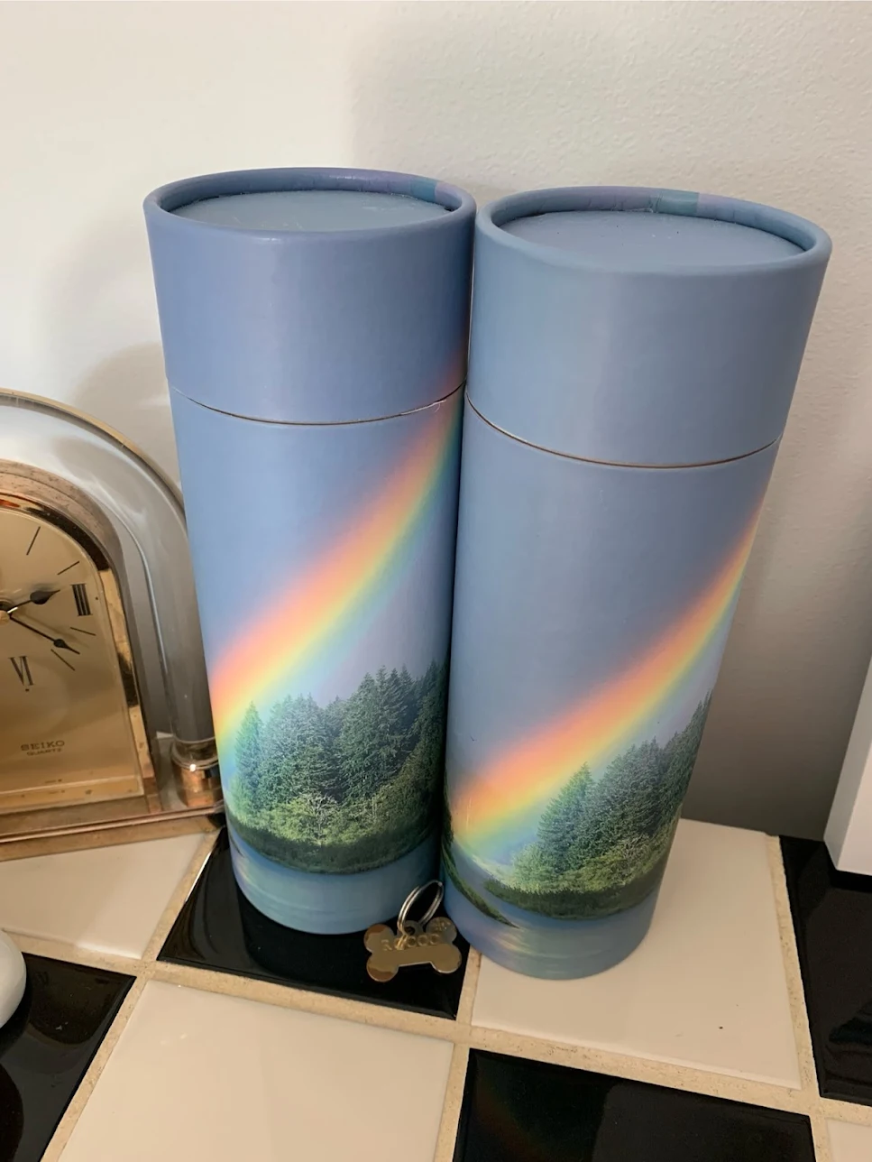 Review image 2 from Ella